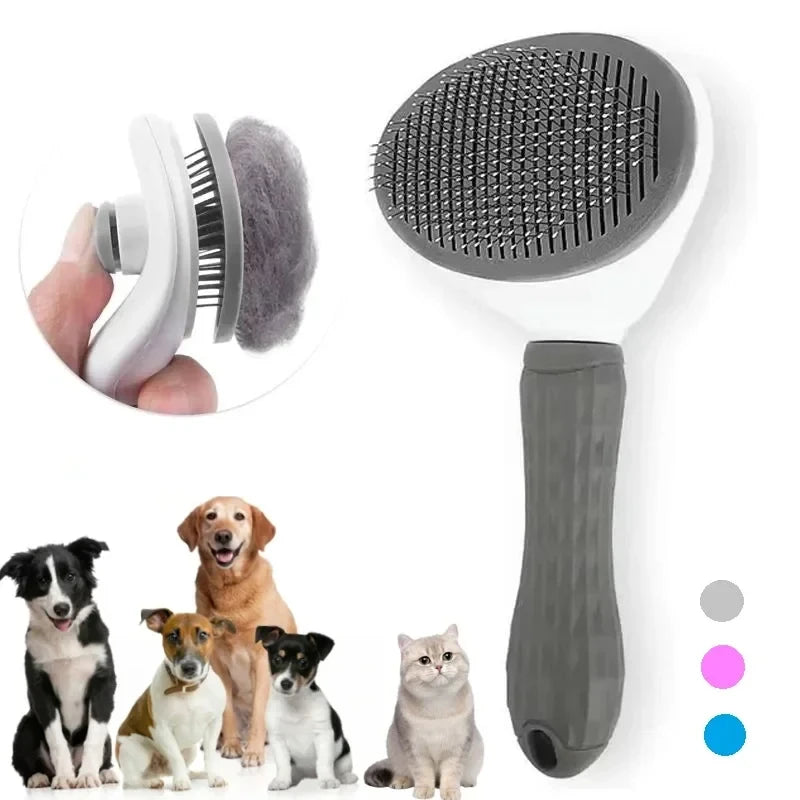 Grooming & Care