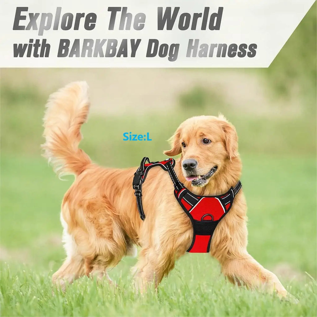 Dog harness handle detail