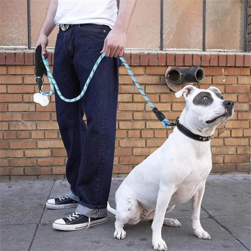 Reflective Padded-Handle Dog Leash