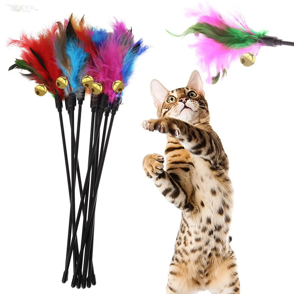 Feather Wand Cat Toy, 5-Pack
