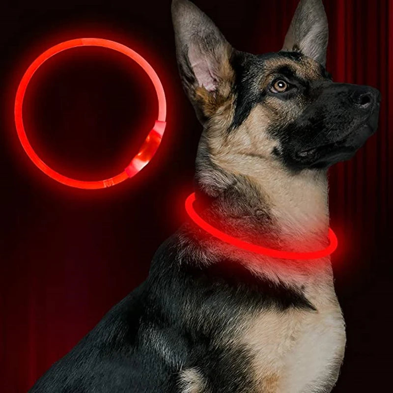 LED dog collar USB charging
