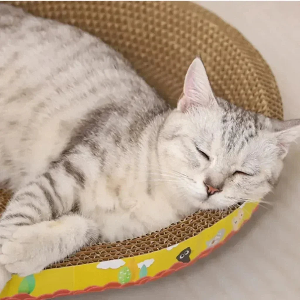 Corrugated Cardboard Cat Scratcher