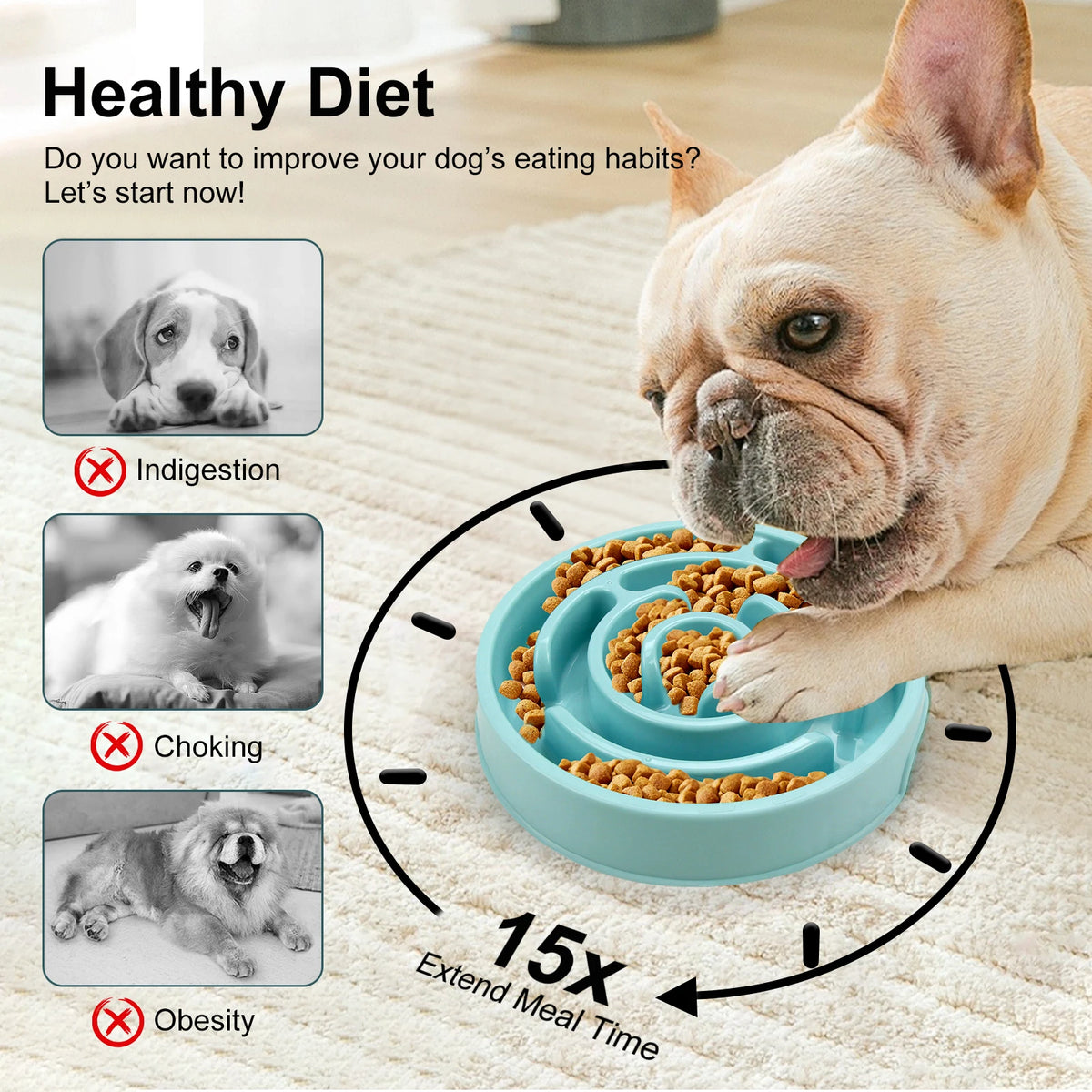 Slow feeder bowl with food
