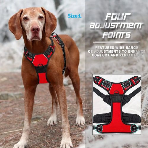 Dog harness reflective stitching
